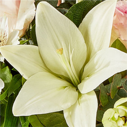 Ballet Slippers Bouquet – HILL'S FLOWERS AND EVENTS, San Jose CA
