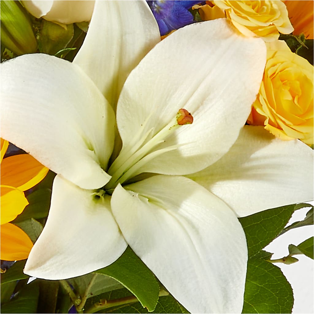 Wonderfully Sunny Bouquet – HILL'S FLOWERS AND EVENTS, San Jose CA
