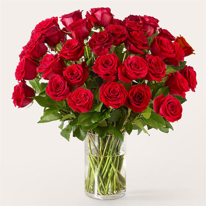 The One Red Rose Bouquet – HILL'S FLOWERS AND EVENTS, San Jose CA