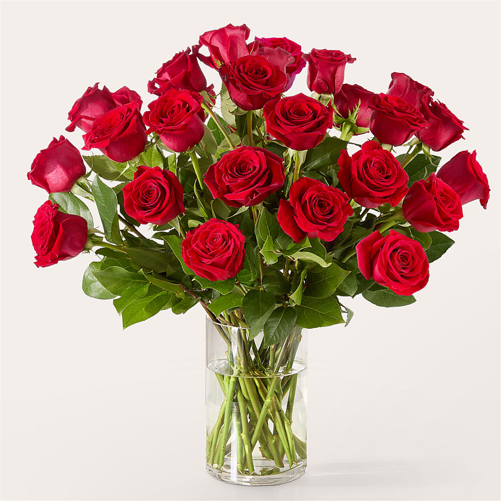 The One Red Rose Bouquet – HILL'S FLOWERS AND EVENTS, San Jose CA