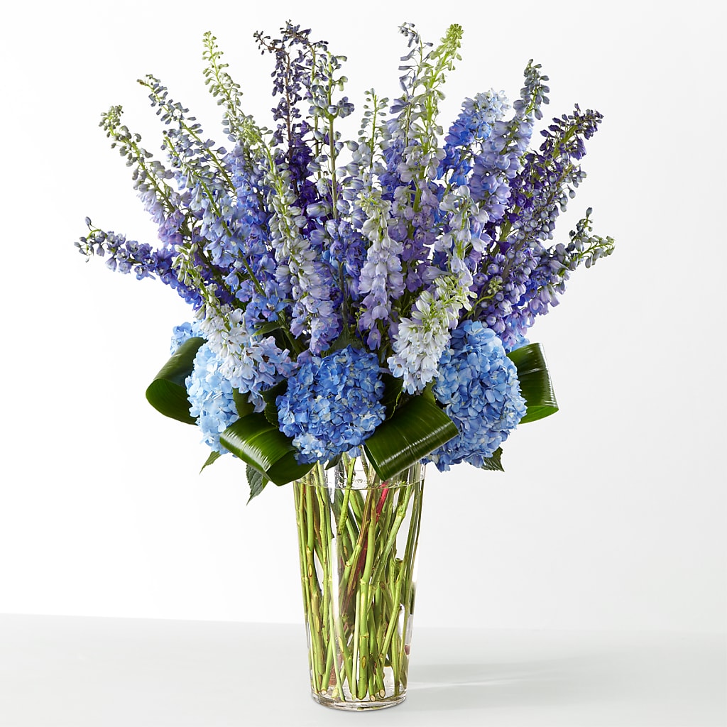 The Editorial – HILL'S FLOWERS AND EVENTS, San Jose CA
