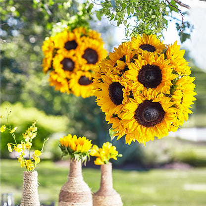Sublime Garden Hanging Arrangement – HILL'S FLOWERS AND EVENTS, San Jose CA